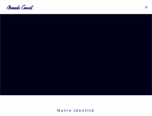 Tablet Screenshot of monade-conseil.com